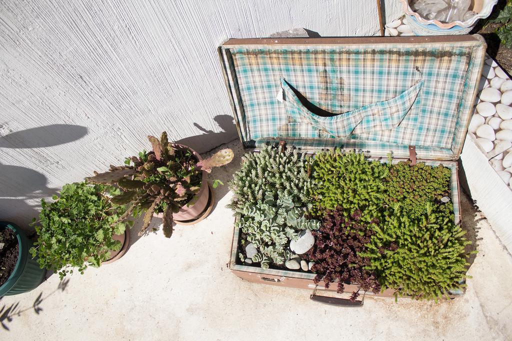 Terrace Garden Boutique Hotel ティビリシ エクステリア 写真