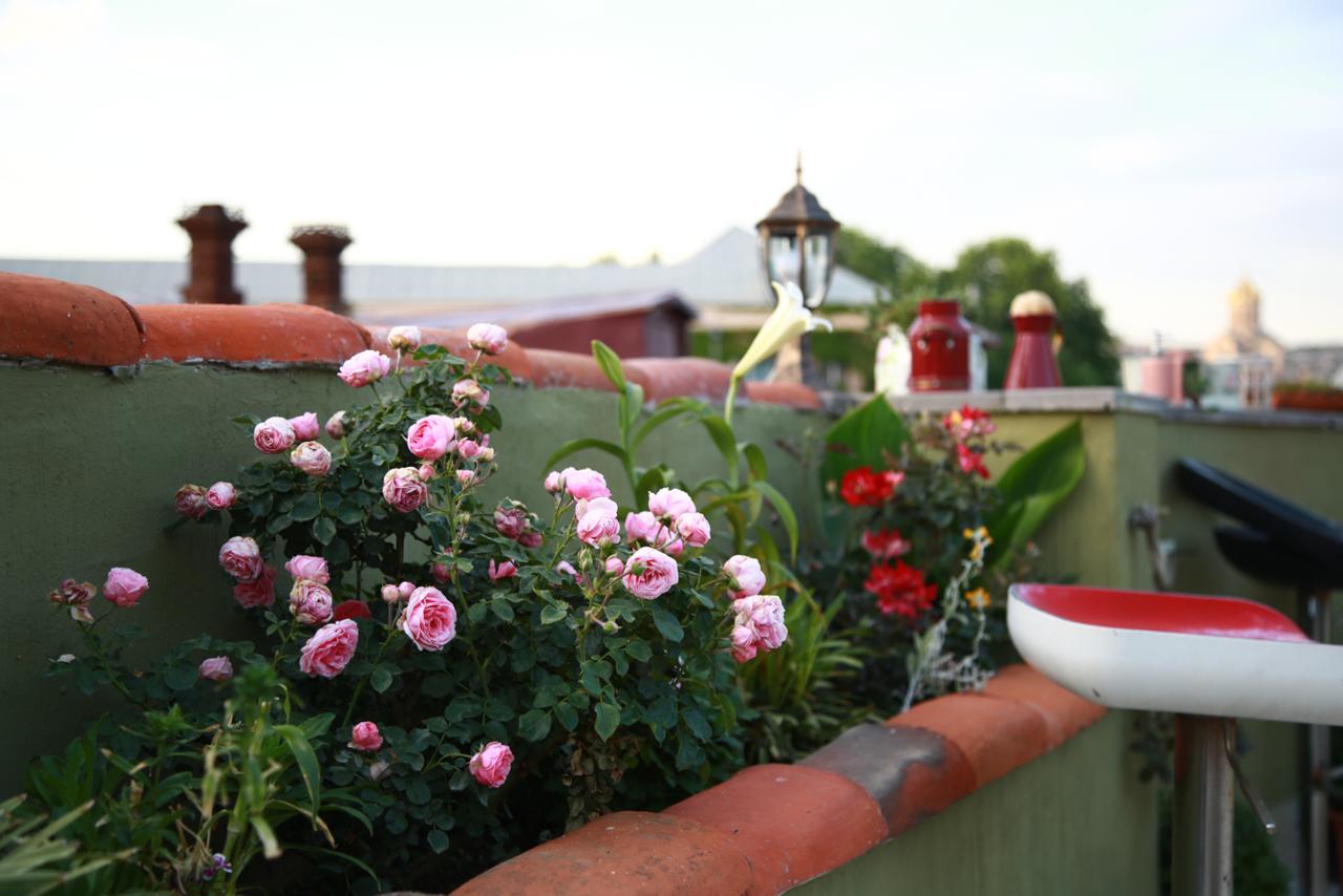 Terrace Garden Boutique Hotel ティビリシ エクステリア 写真