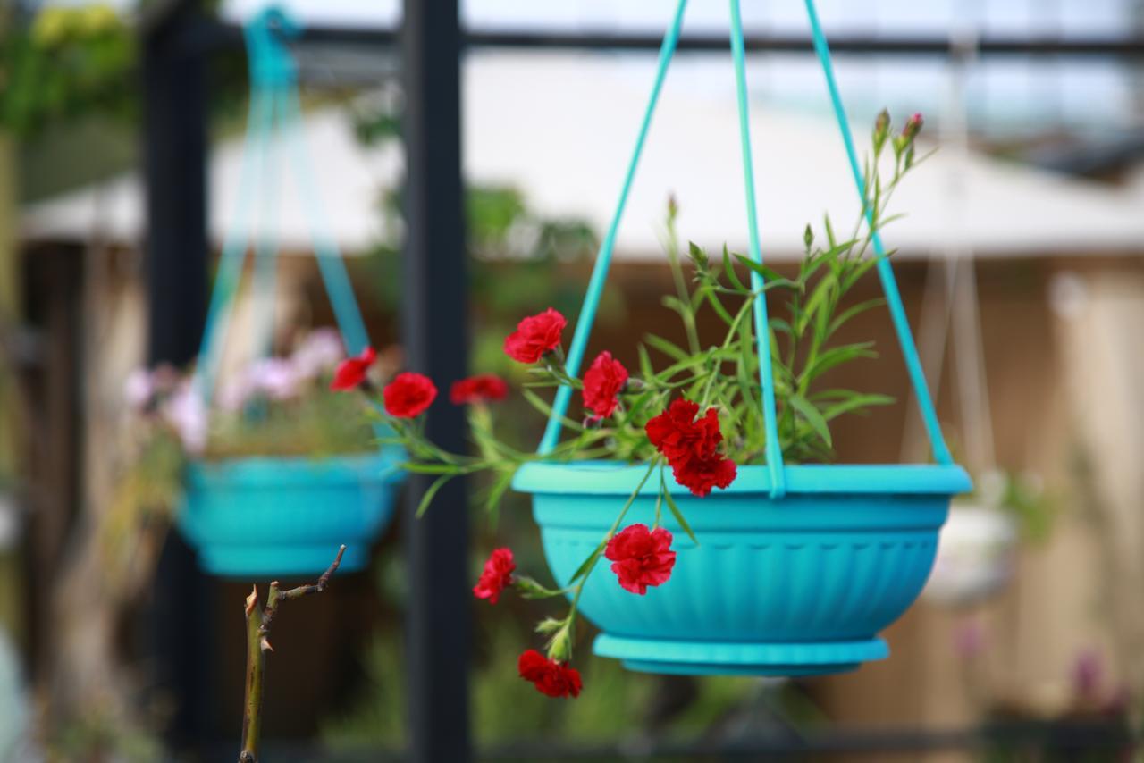 Terrace Garden Boutique Hotel ティビリシ エクステリア 写真