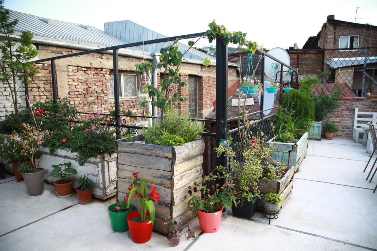 Terrace Garden Boutique Hotel ティビリシ エクステリア 写真